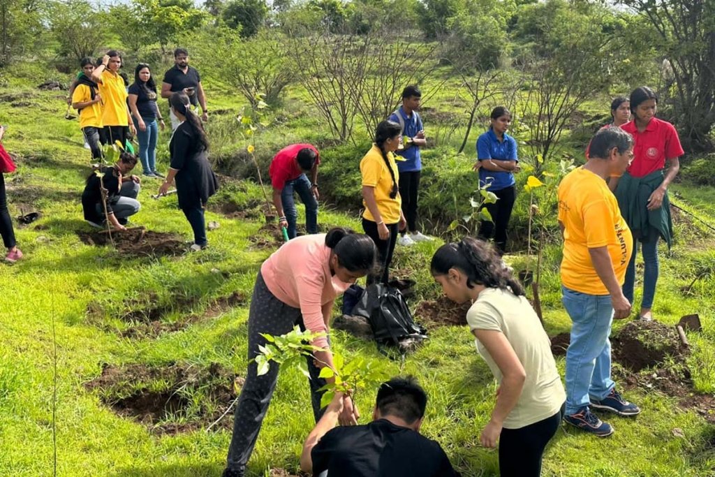 Group planting saplings in a grassy field, digging holes on a sunny day